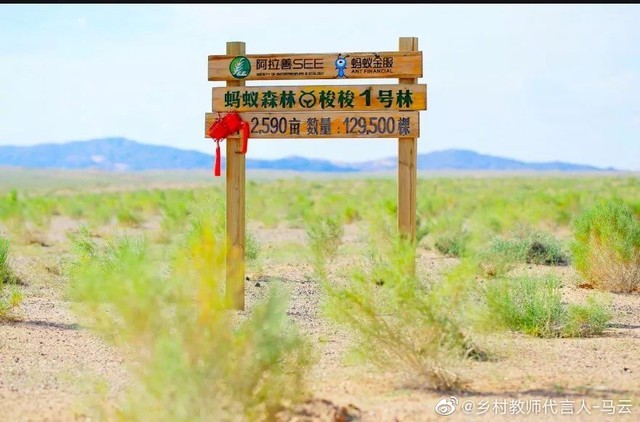 蚂蚁森林保护地图片