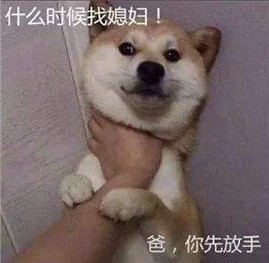 һ ԿŮĸҪ 