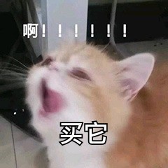 OMGʲôɼ 