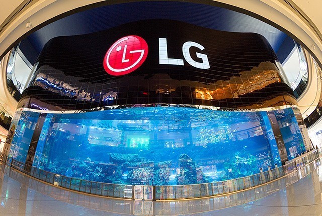 LG Display  OLED޿ 