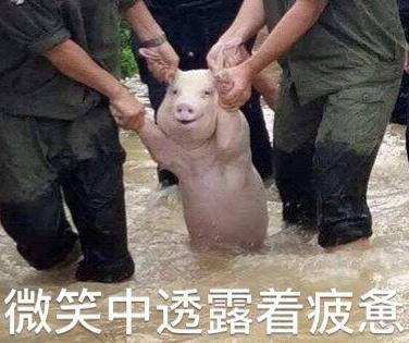 ������ʲô�������� iQOO Neo������� 