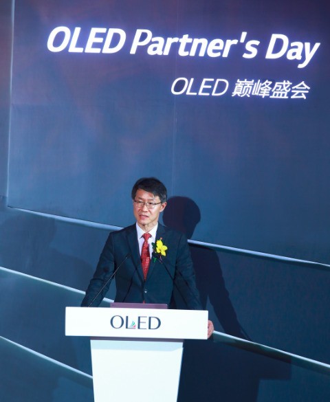 2019 OLED۷ʢῪйOLEDʱ 