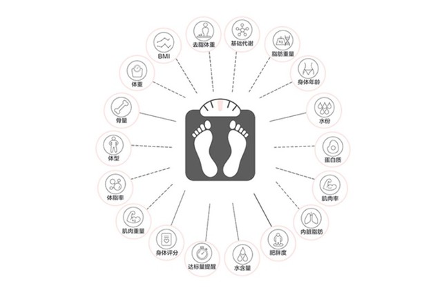 小巧身材大有玄机 海尔幻彩C3智能体脂秤评测