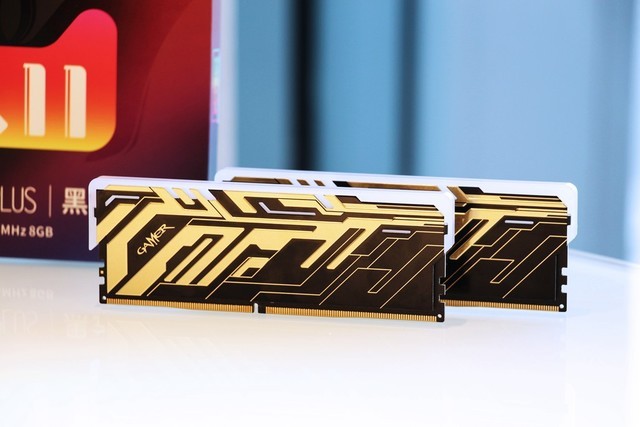 Ƶ GAMER  PLUS DDR4-3600 8G*739Ԫ 