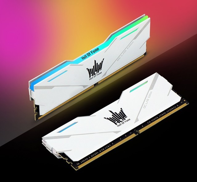 ֧صЧ HOF OC lab ڴշ 