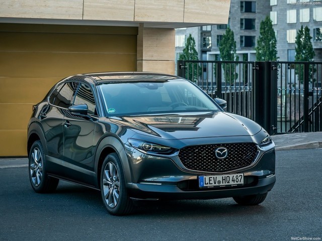 óԭʻȤԴCX-30