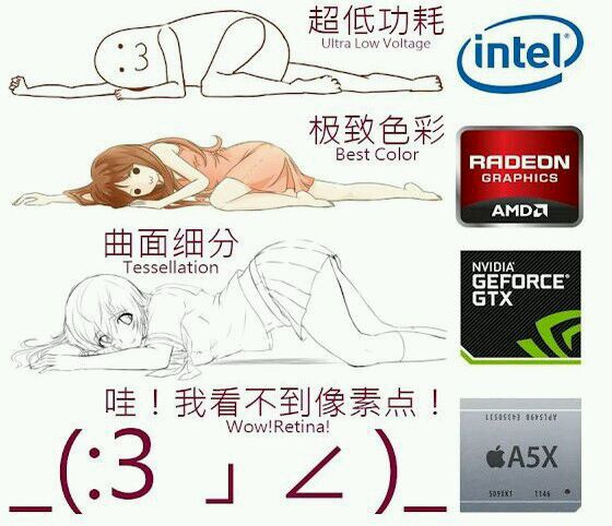 Բ㡰С󡱵 DSRܲ 