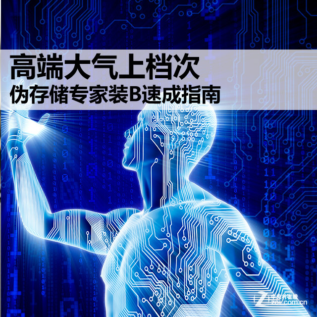 高端大气上档次 伪存储专家装B速成指南