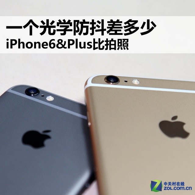 һѧ iPhone6&Plus 