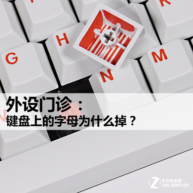 ϵĸΪʲô꡿ 