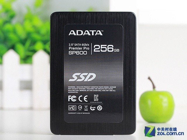 оܱ SP600 256GB SSD 