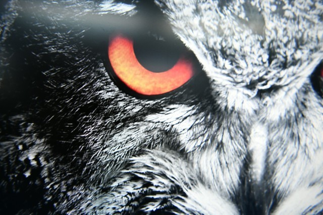 ʾ 