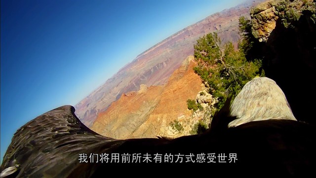 领略地球之美 不可不看的BBC自然纪录片 