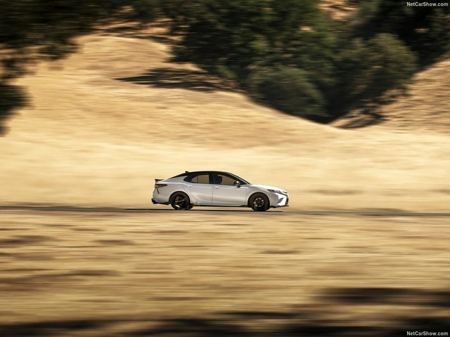 óܣ￭TRD