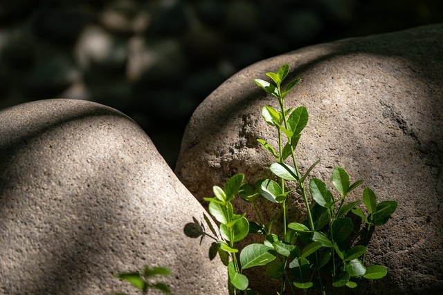 ͷ ʿXF 16-80mm F4ͷ 