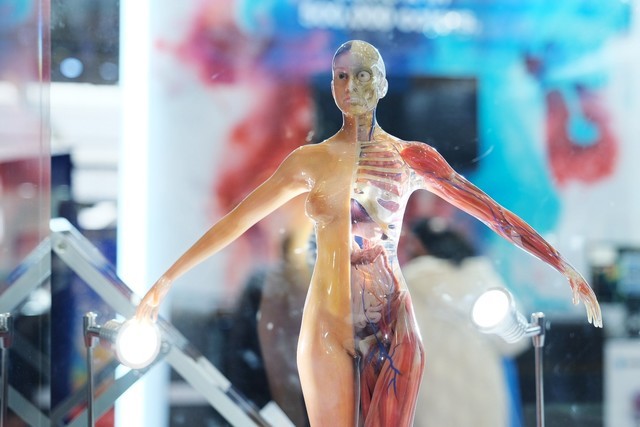 Stratasys3Dӡ˾ɷ 