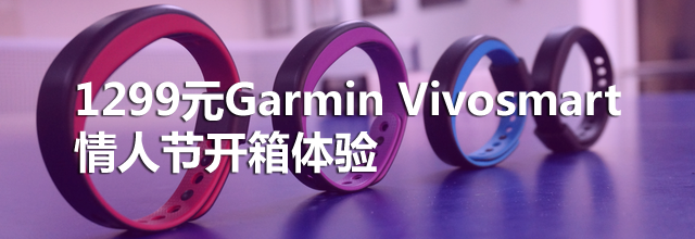 Garmin Vivosmart:˽ڸ˶ 
