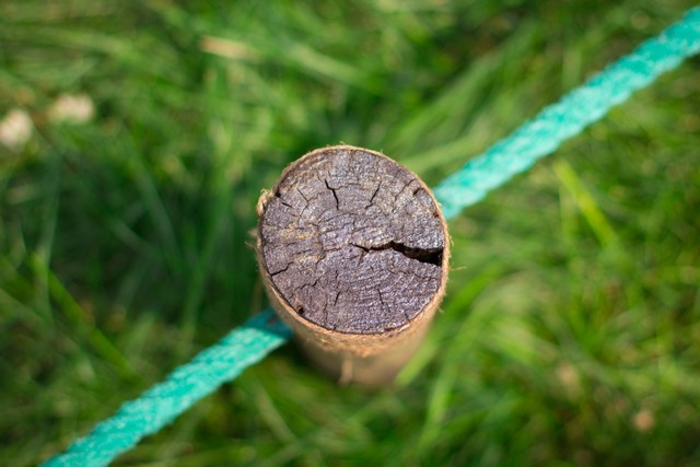 �����еĵڶ�֧��ͷ ����50mm F1.4���� 