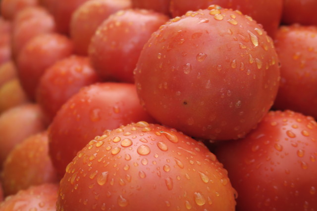 ��ѵ������� ����G7 X�����Ƚ�� 