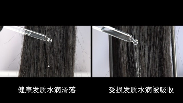 ͷ𣿴ɭͷѧʵҽͷ 