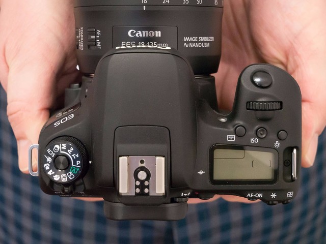 Сɹרҵ EOS 77Dͼ