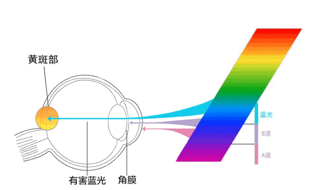 滤蓝光显示器真的有用吗？ 