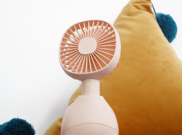 ǳʺСǺͺʹáߣMUID