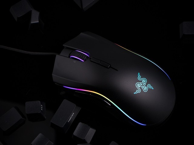 ߾ӢϷ רҵĵ羺Ʒ 