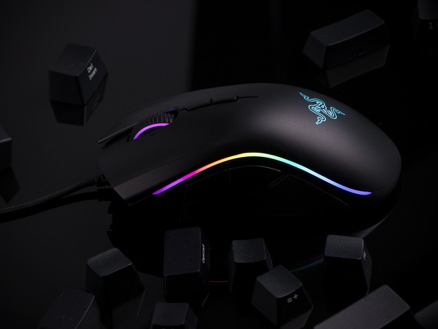 ߾ӢϷ רҵĵ羺Ʒ 
