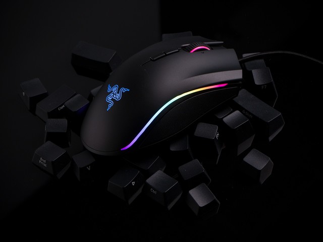 ߾ӢϷ רҵĵ羺Ʒ 