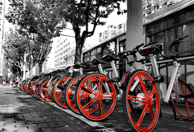 ������� ��һͷ�������ġ�����������ֻ�� 