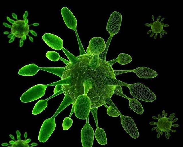 流感病毒变异性很强,这就为其预防增添了不小的难度,我们经常在电视上