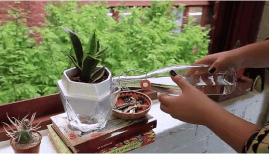 Plantereo๦ܻ裺ǽˮҲû 