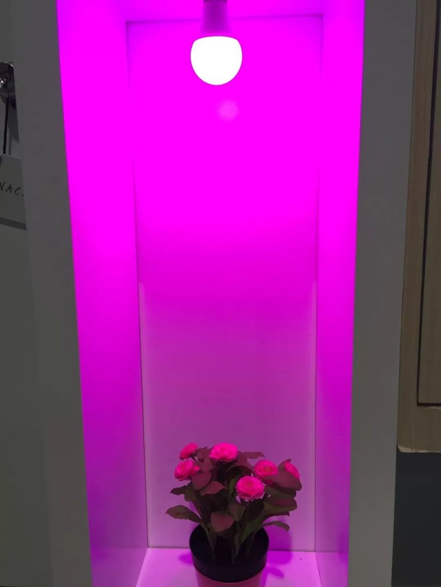 κڿƼ  CES 2018ֱֳ 