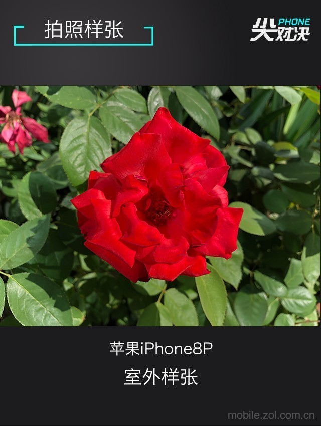 PhoneԾ ƻiPhone8P/Note8/XZP 