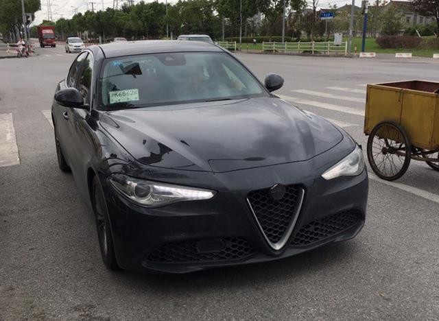 ŷGiulia·Եع 