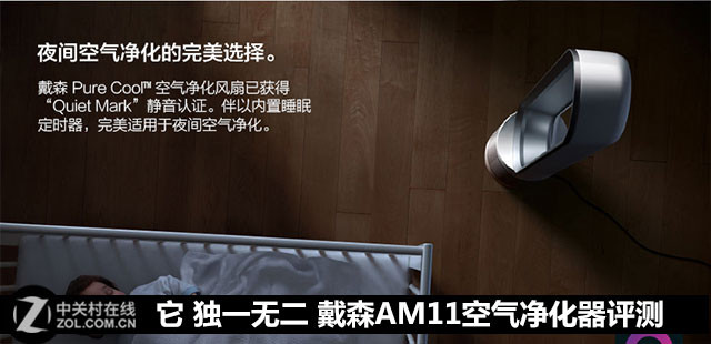  һ޶ ɭAM11 