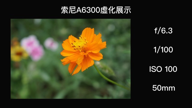 ΢ļǿλ˾Ϊ˻һ 
