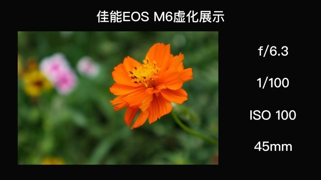 ΢ļǿλ˾Ϊ˻һ 