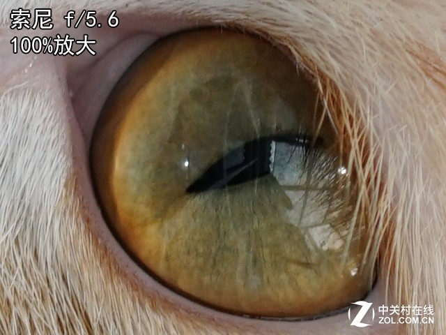 105mm f/2ս100mm f/2.8 GM 