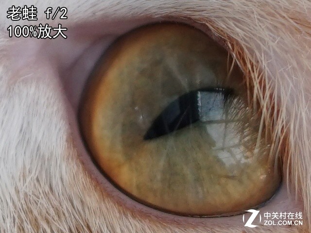 105mm f/2ս100mm f/2.8 GM 