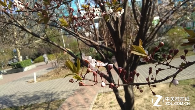 8Ӣȫͨ4G ĽE9ƽ 
