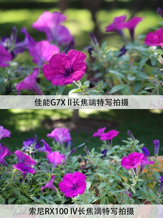 㾫˲ ˭Ǹõĵ 