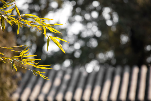  70-200mm F4ֵ 