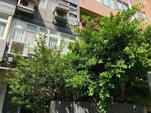 iPhone8 Plus双摄是废了 二打一都不灵