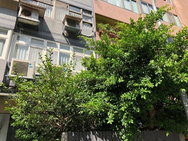 iPhone8 Plus双摄是废了 二打一都不灵