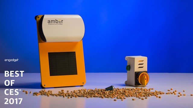 ڳｱAmber AgricultureʵΪũ׼Сȷǿ׳ɳġ