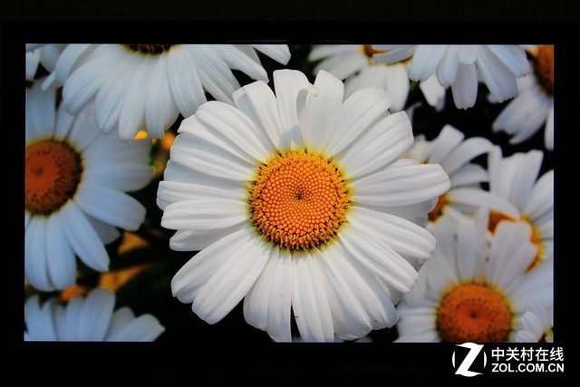 ����DreamColor Z27x G2 Studio��ʾ������ 