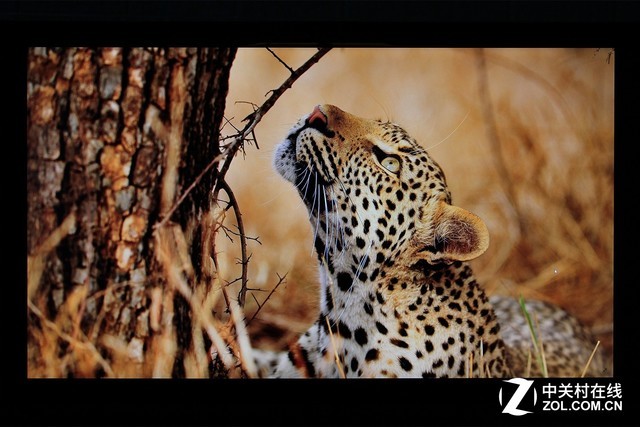 ����DreamColor Z27x G2 Studio��ʾ������ 