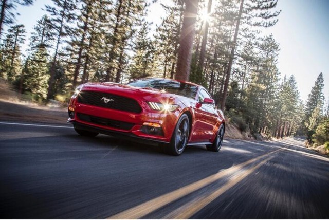 Mustangƻ춯  